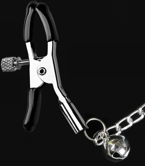 Product detail photograph