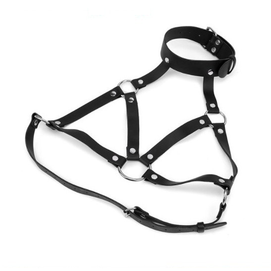 Black adjustable harness with silver-tone hardware, supplier product photograph