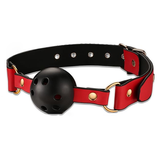 Red and black strap detail with gold-tone hardware